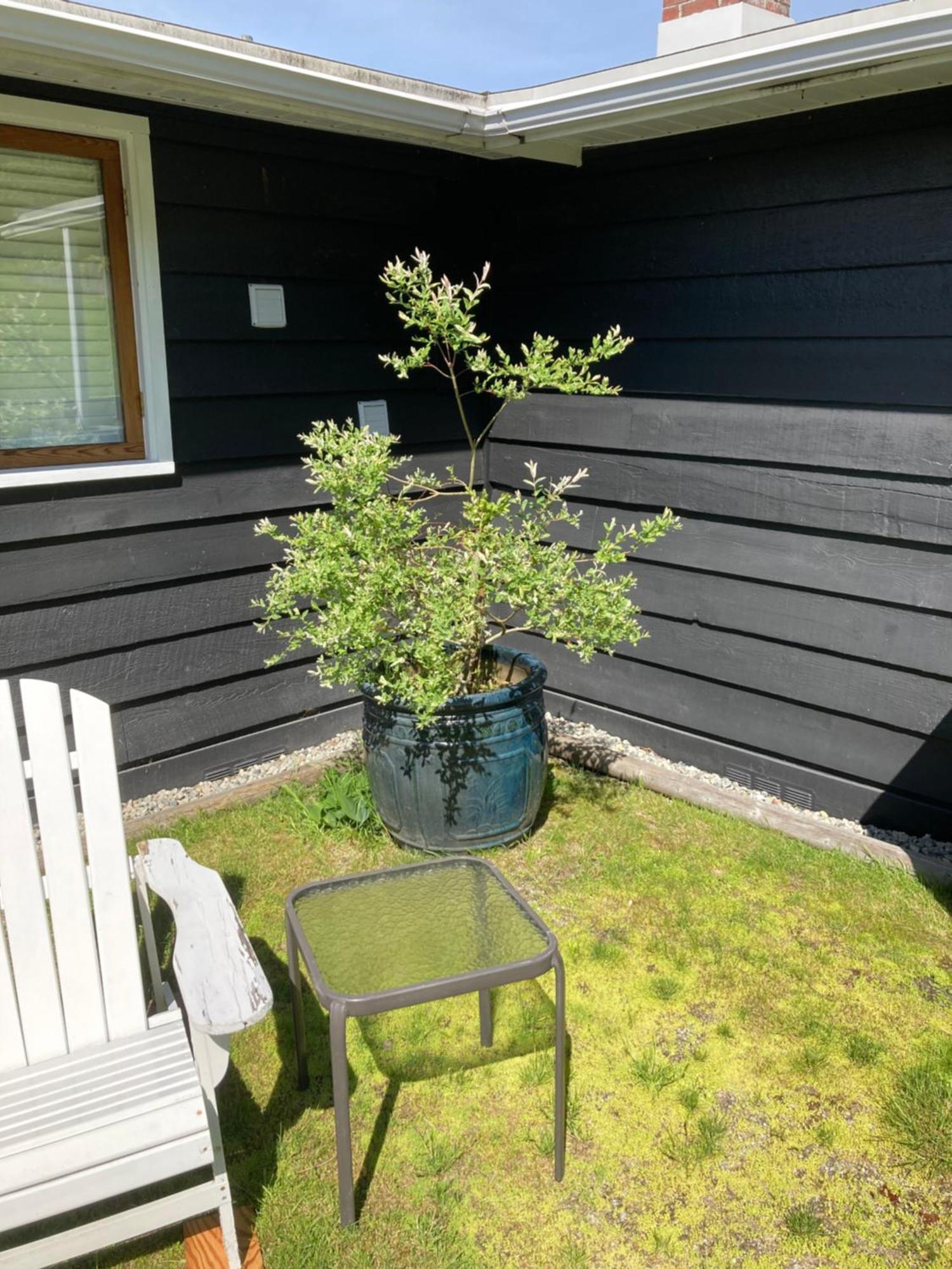 Rent My Studio Powell River Exterior foto